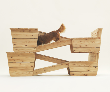 Architecture for Dogs
